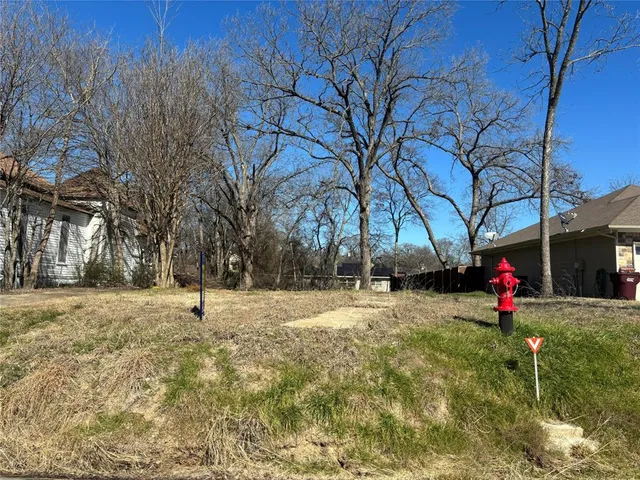 a view of a yard with a house and a tree