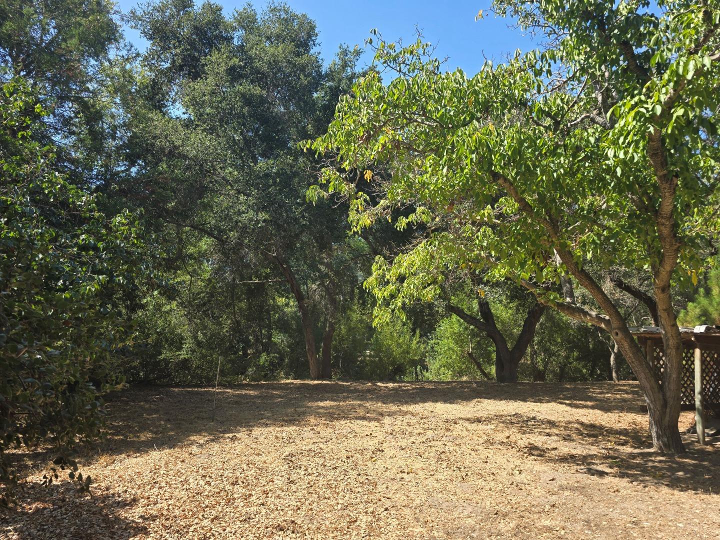 59 Boronda Road Carmel Valley, CA 93924 - Photo 6 of 43 a view of a yard with trees