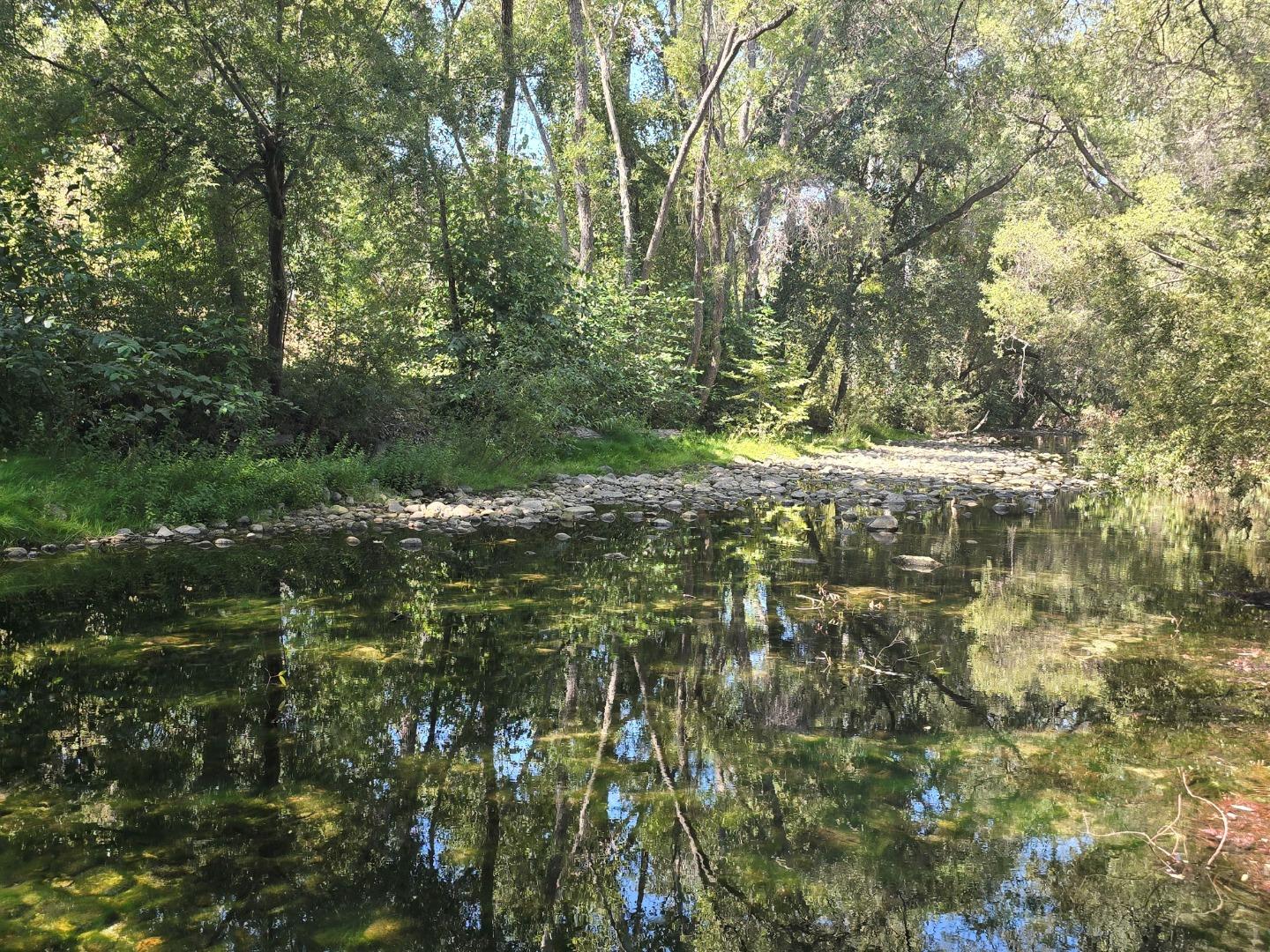 59 Boronda Road Carmel Valley, CA 93924 - Photo 7 of 43