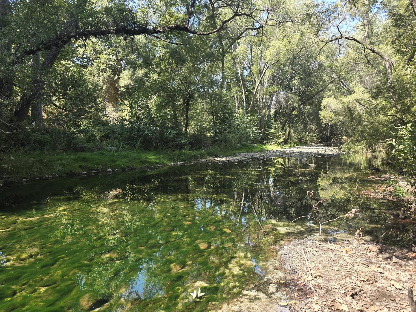 59 Boronda Road Carmel Valley, CA 93924 - Photo 8 of 43 a view of a lake view with houses
