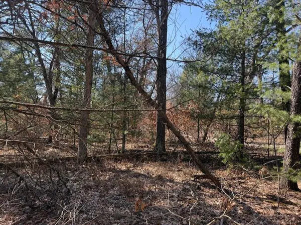 $8,000 | Vl West Erie Street, Baldwin, MI 49304
