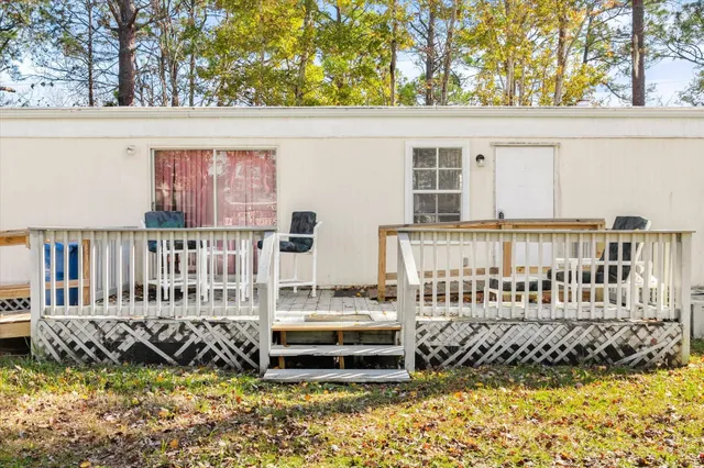 a view of a backyard with plants and large tree