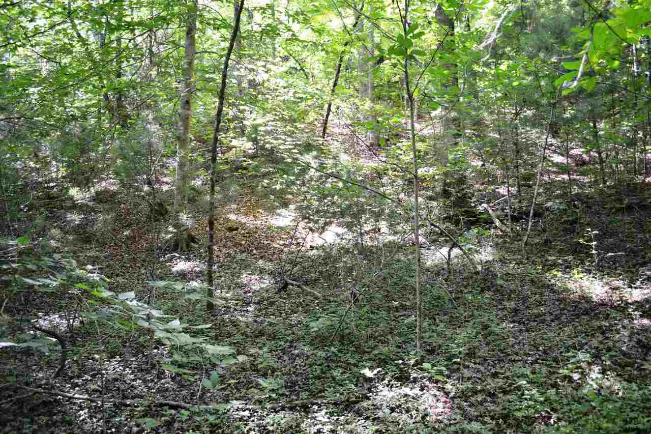 0 Ritchie Road, Unit TRACT 2 Tiger, GA 30576 - Photo 1 of 1 Gallery Image 1