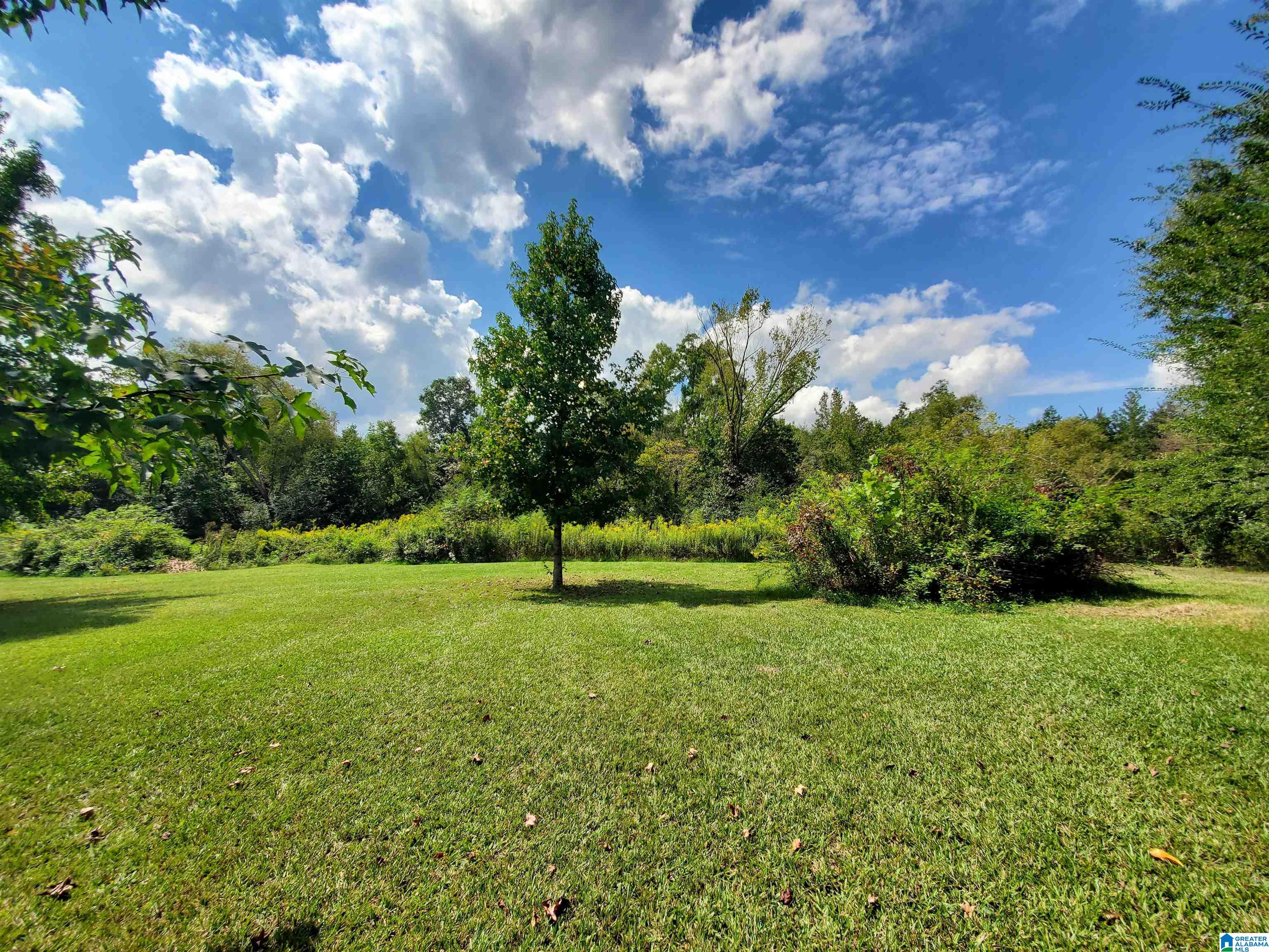 622 Rocky Hollow Road Jacksonville, AL 36265 - Photo 33 of 40