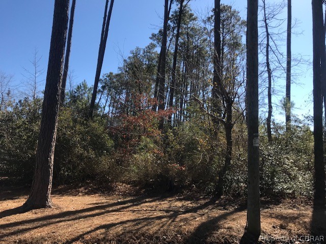 0 Lillys Neck Road Moon, VA 23119 - Photo 2 of 9