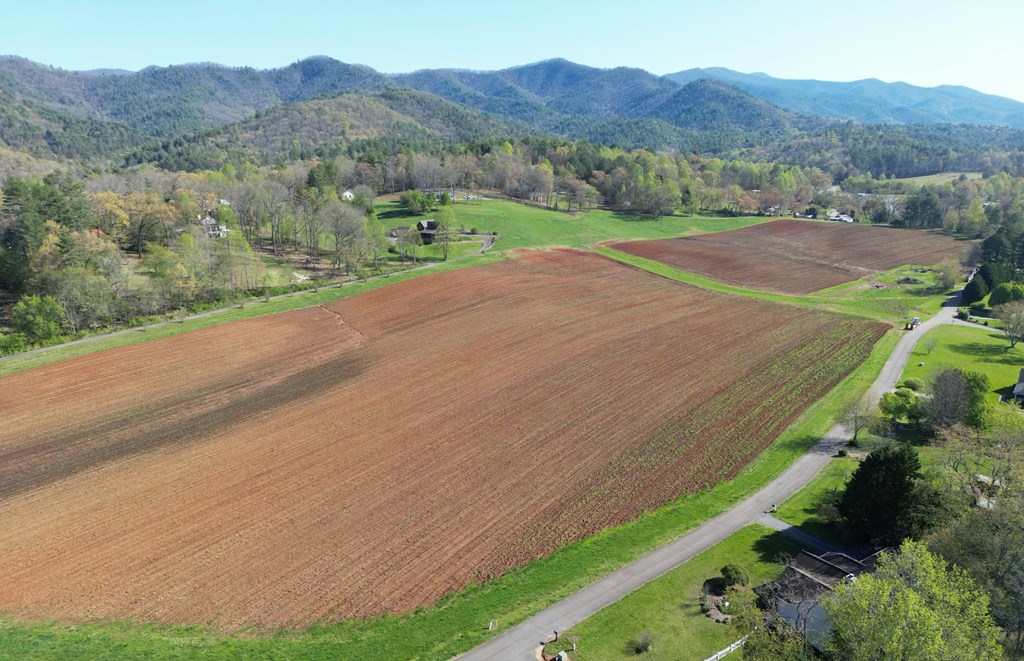 Lot D Timber Ridge Lane Hayesville, NC 28904 - Photo 6 of 6 a view of a mountain with a yard