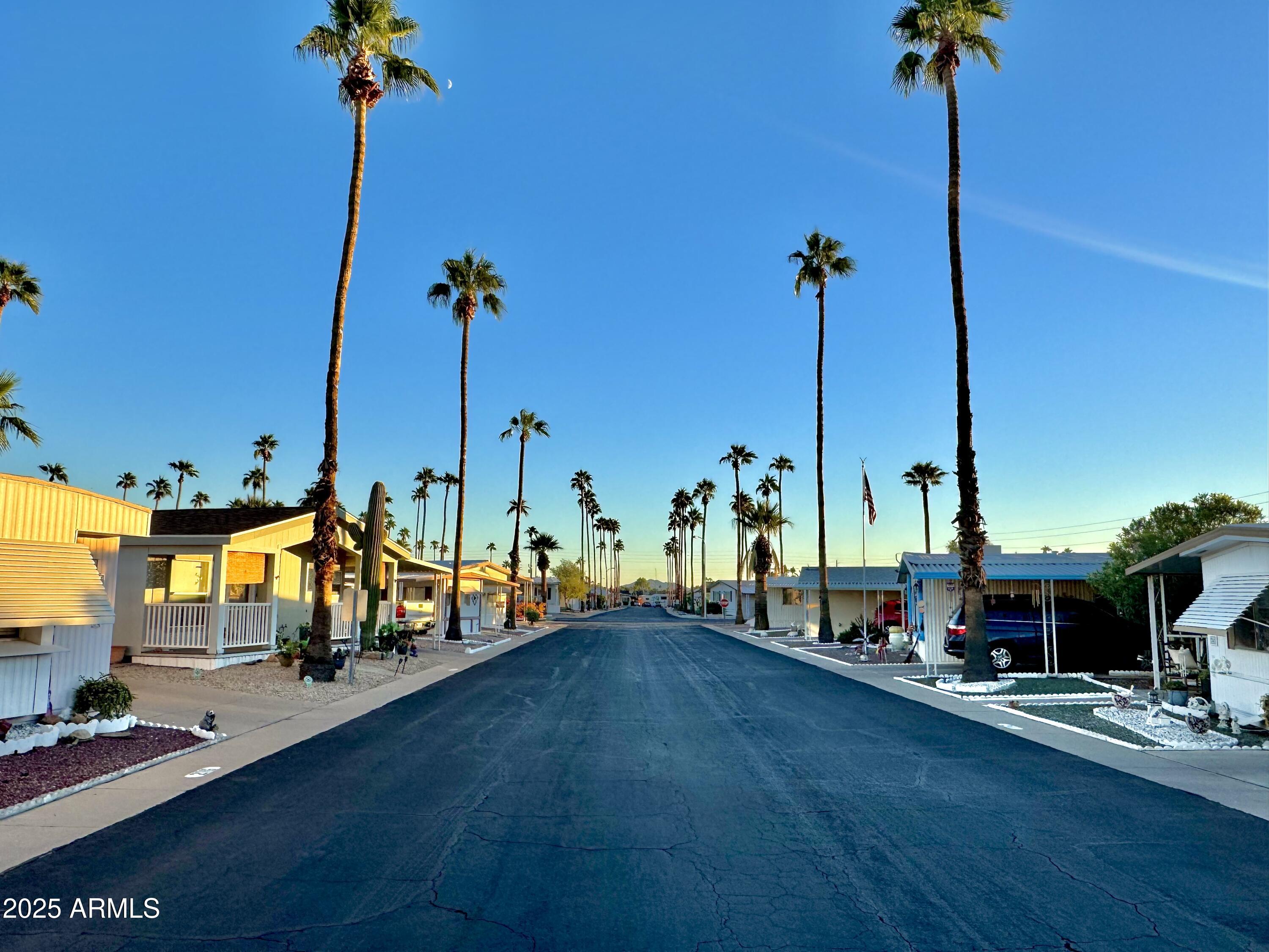 303 South Recker Road, Unit 215 Mesa, AZ 85206 - Photo 18 of 19 a view of a swimming pool with a slide