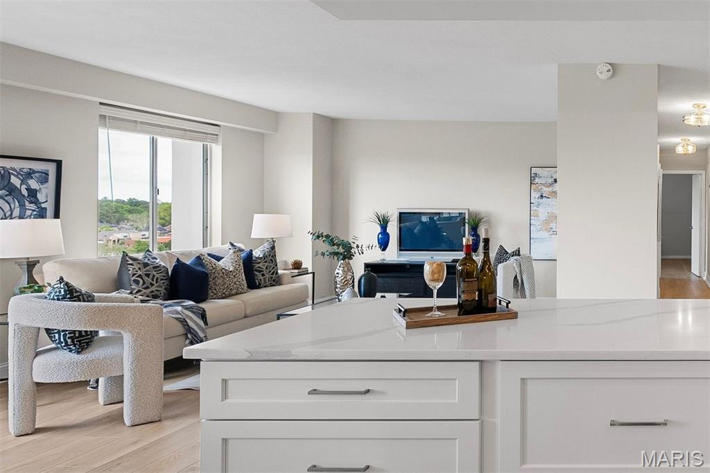 900 South Hanley Road, Unit 10B St. Louis, MO 63105 - Photo 9 of 24 Gallery Image 9