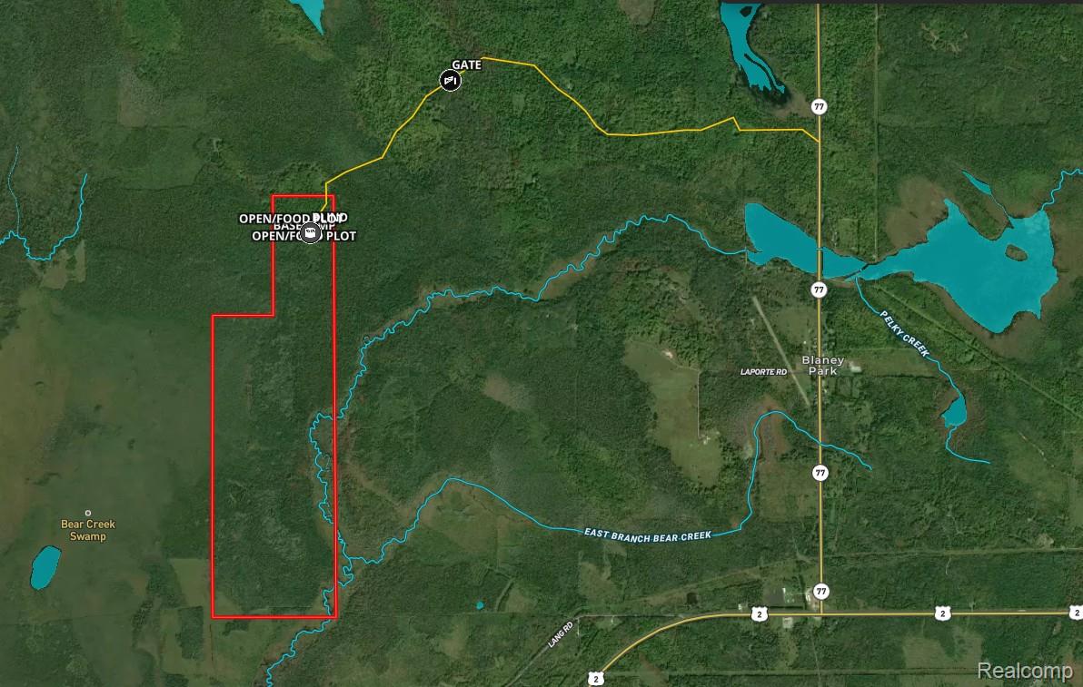 23 Camp 23 Road Germfask, MI 49836 - Photo 3 of 18 03.jpg