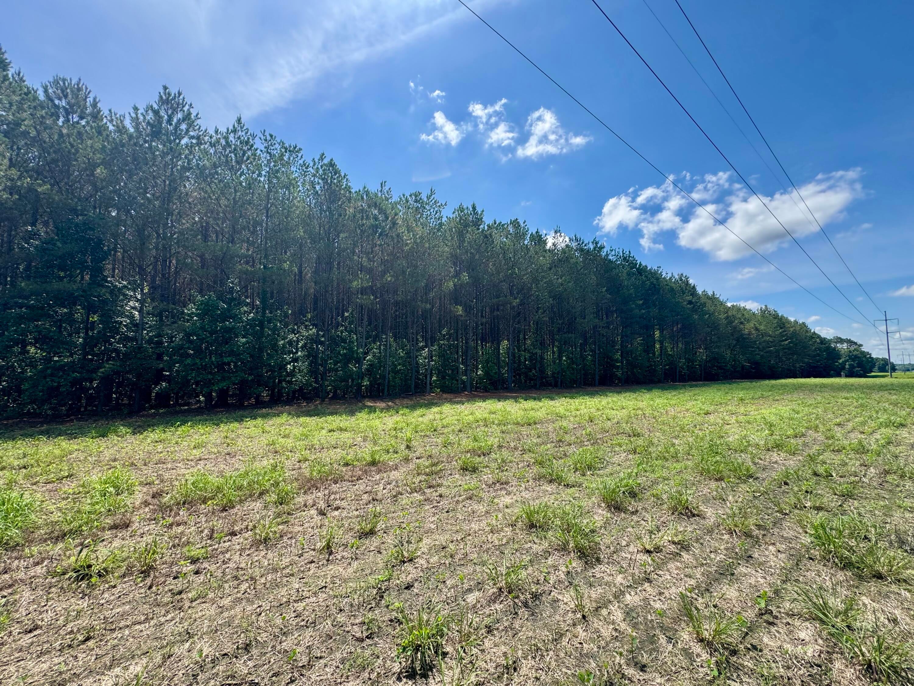 Sartain Road Dennis, MS 38838 - Photo 2 of 8 image00007