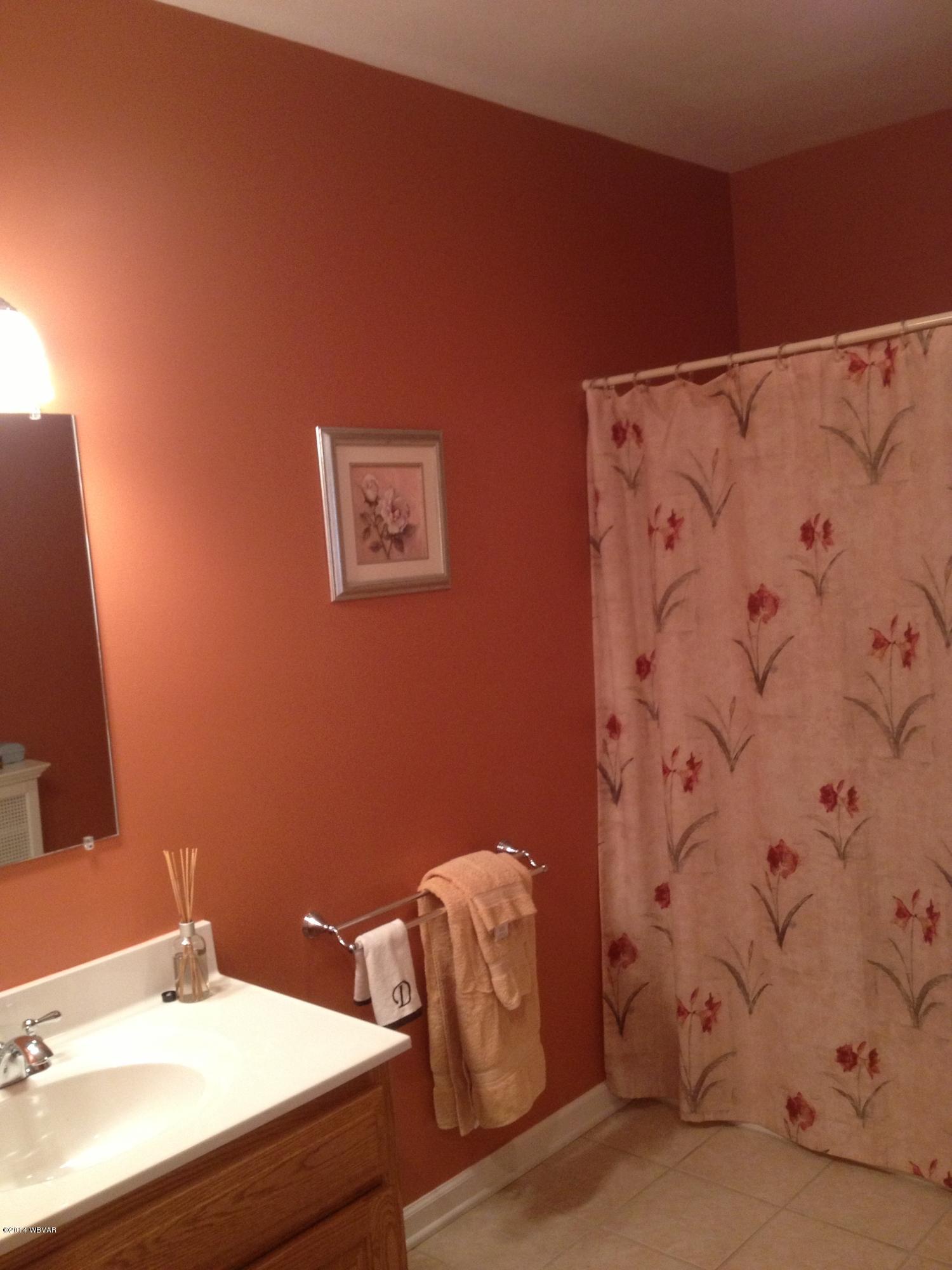 1032 Long Run Road Mill Hall, PA 17751 - Photo 10 of 14 Bathroom