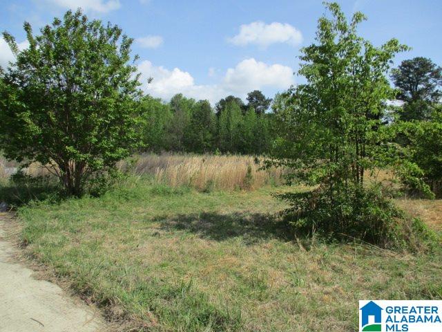 8397 Highway 24, Unit 3 ACRES Oneonta, AL 35121 - Photo 2 of 5