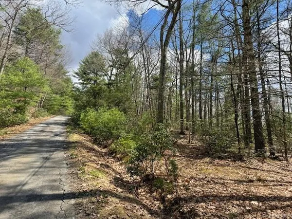 $45,000 | Lot 73.6 Pine Road, Glen Spey, NY 12737