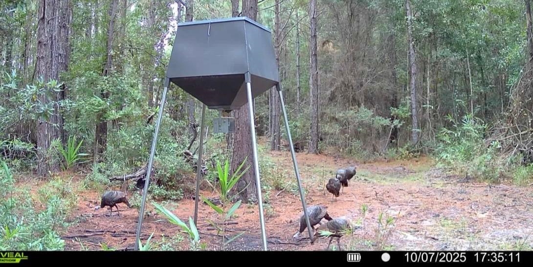 2909 Shellman Bluff Road Northeast, Unit 2909 SHELLMAN BLUFF RD N Townsend, GA 31331 - Photo 33 of 50