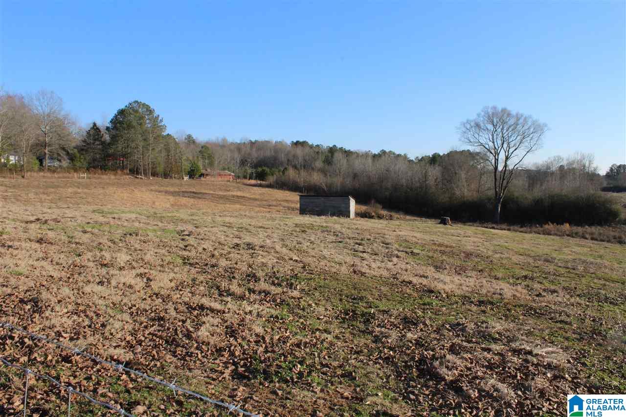 3601 Brookside Road Brilliant, AL 35548 - Photo 30 of 33