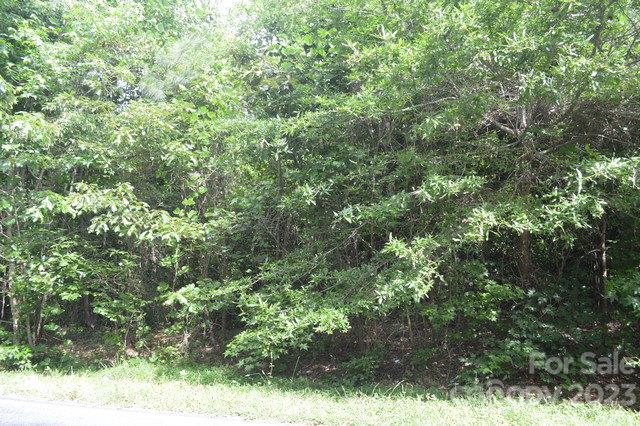3306 Rimer Road, Unit NULL Concord, NC 28025 - Photo 2 of 6 a view of a yard with plants