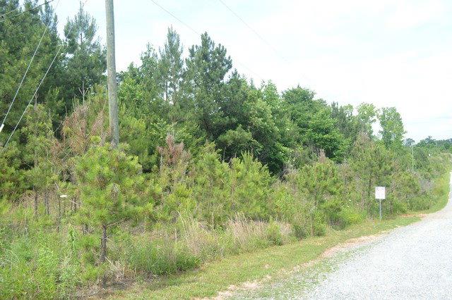 3306 Rimer Road, Unit NULL Concord, NC 28025 - Photo 3 of 6 a view of a forest with a tree