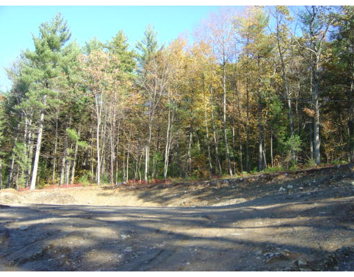 Lot 8 Collins Road Berlin, MA 01503 - Photo 7 of 8