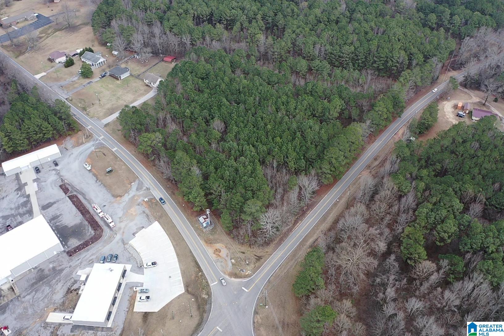 1689 Arkadelphia Road, Unit LOT 1 Warrior, AL 35180 - Photo 5 of 12