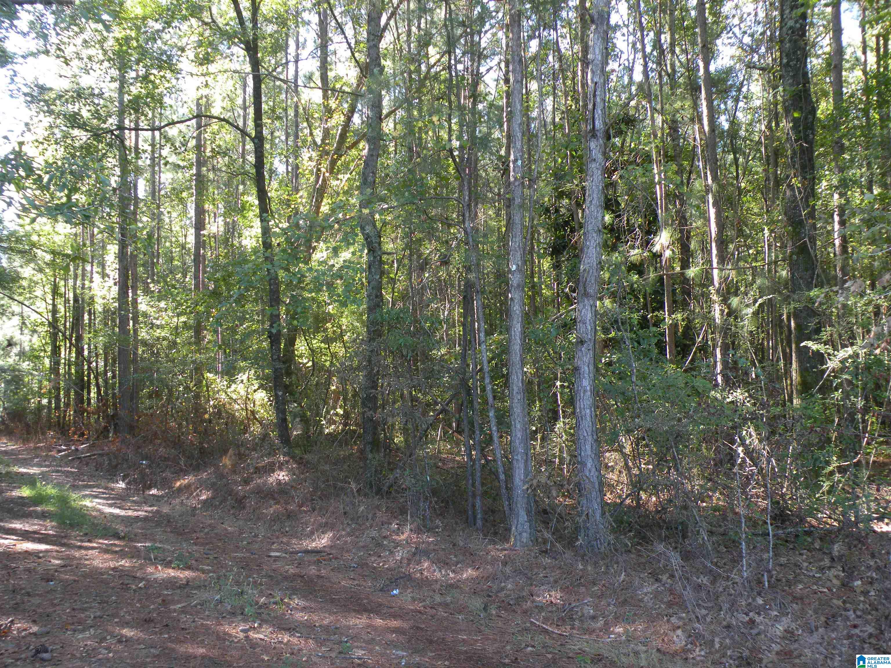 Grist Mill Road, Unit 1 Childersburg, AL 35044 - Photo 5 of 6