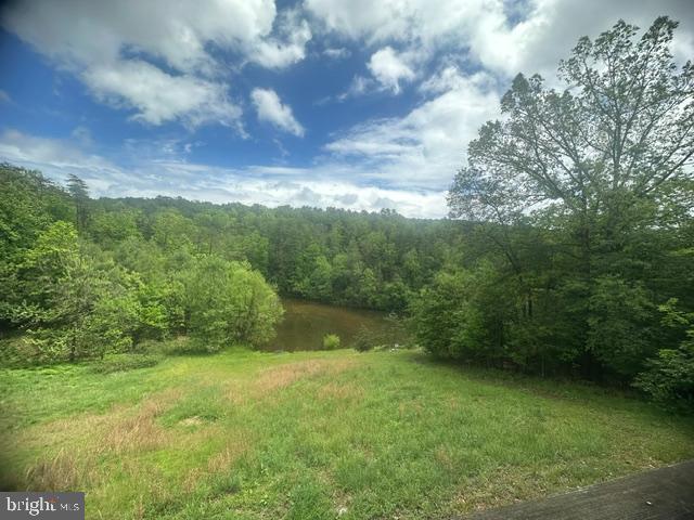 431 Holly Ridge Road Mount Jackson, VA 22842 - Photo 17 of 20