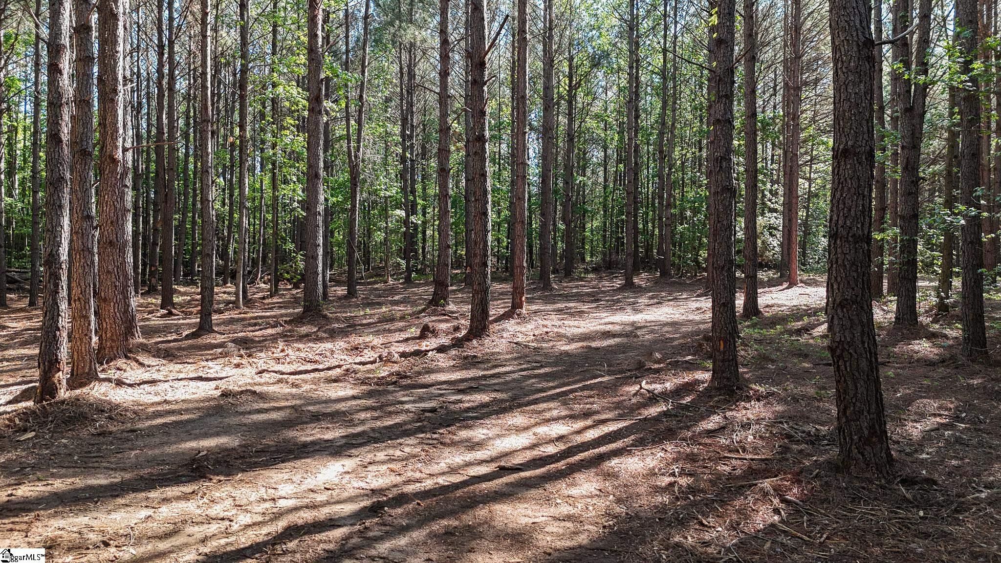 1 Lisbon Road, Unit LOT 1 Mountville, SC 29370 - Photo 8 of 23 Gallery Image 8