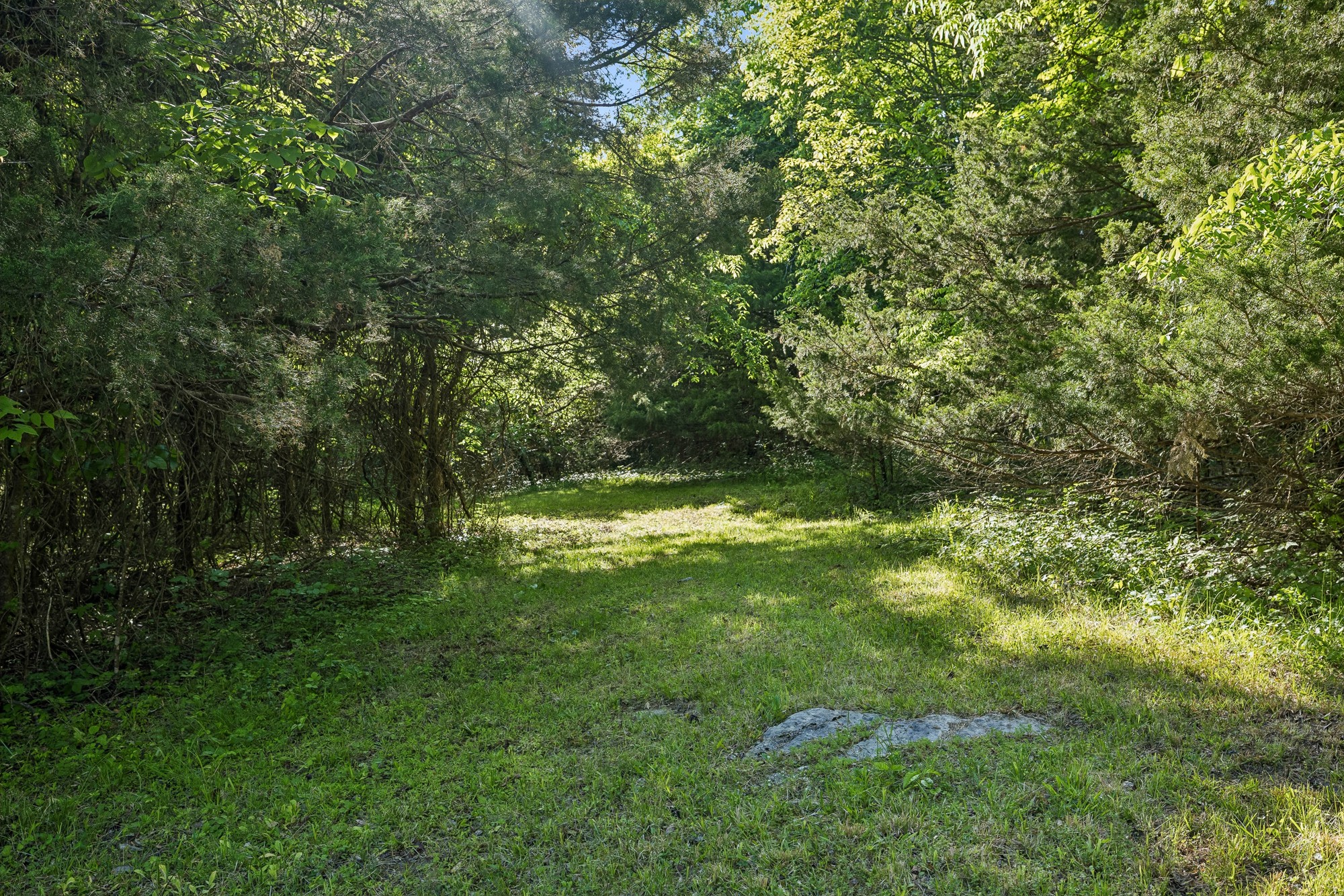 1650 Dickens Hill Road Bradyville, TN 37026 - Photo 68 of 88