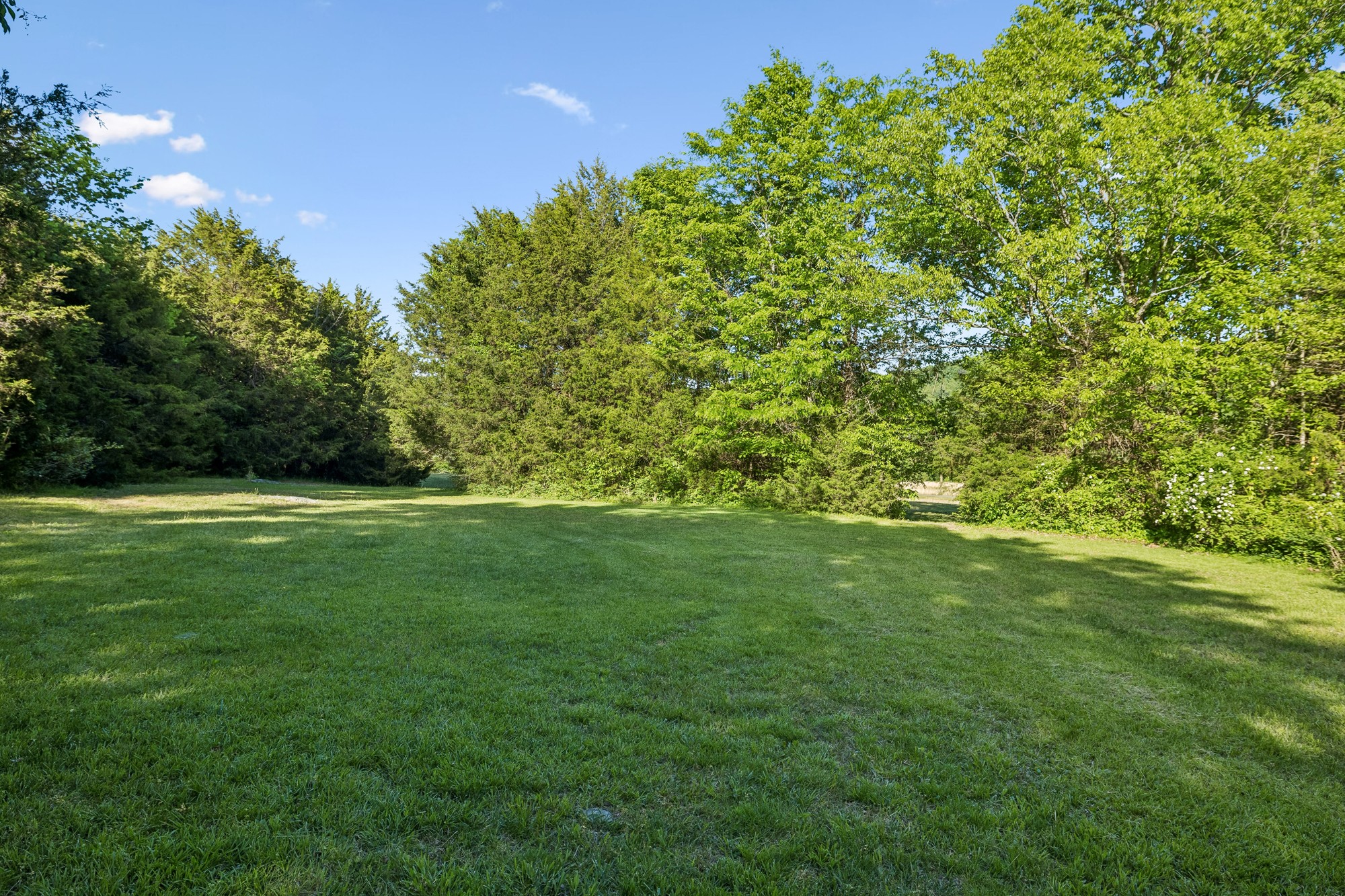 1650 Dickens Hill Road Bradyville, TN 37026 - Photo 75 of 88
