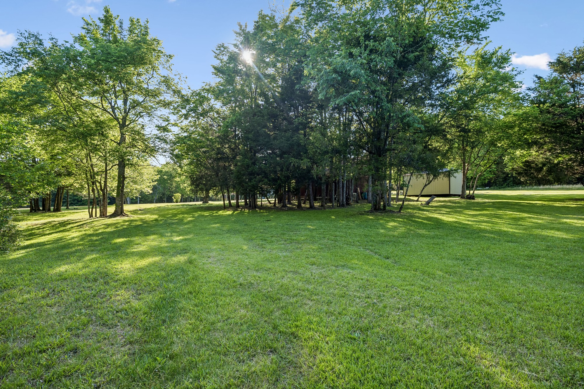 1650 Dickens Hill Road Bradyville, TN 37026 - Photo 77 of 88