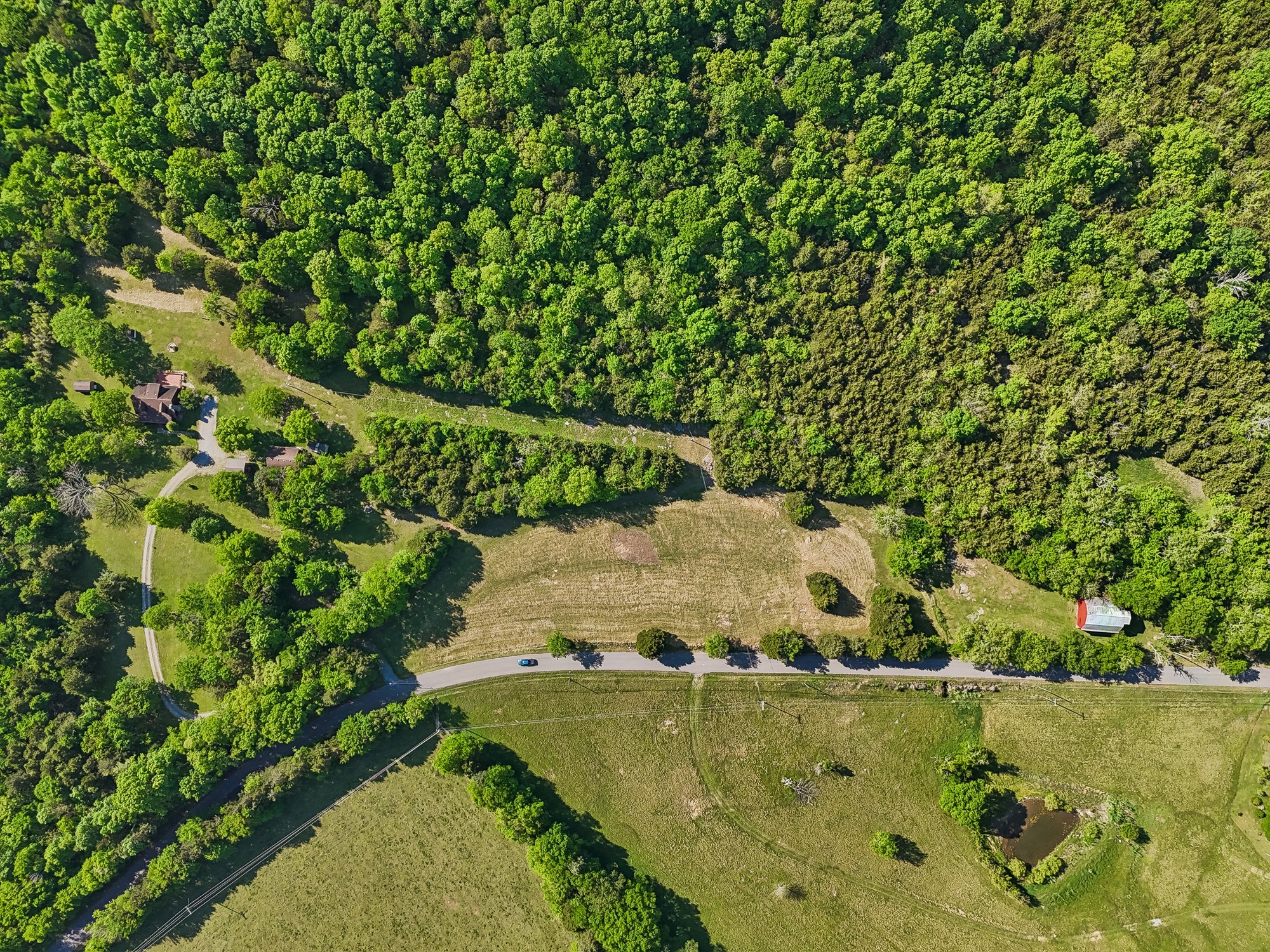 1650 Dickens Hill Road Bradyville, TN 37026 - Photo 79 of 88