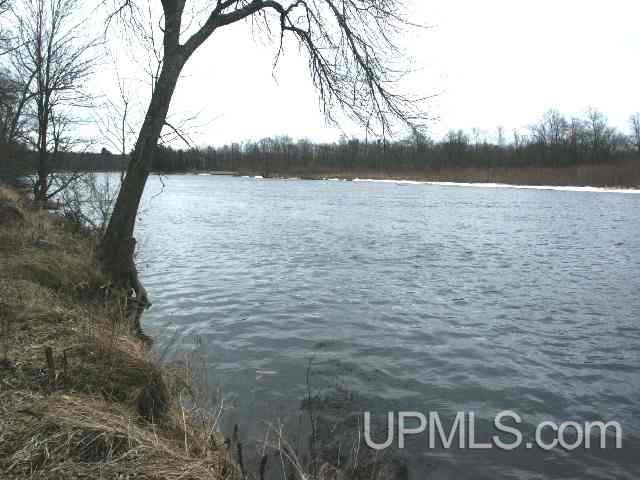 W9221 Snakey Lake Rd Lake Lake, MI 48632 - Photo 14 of 24