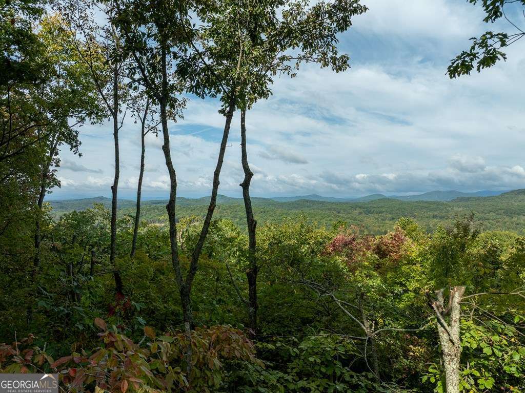 175 Oak Ledge Road Morganton, GA 30560 - Photo 18 of 50 a view of lake