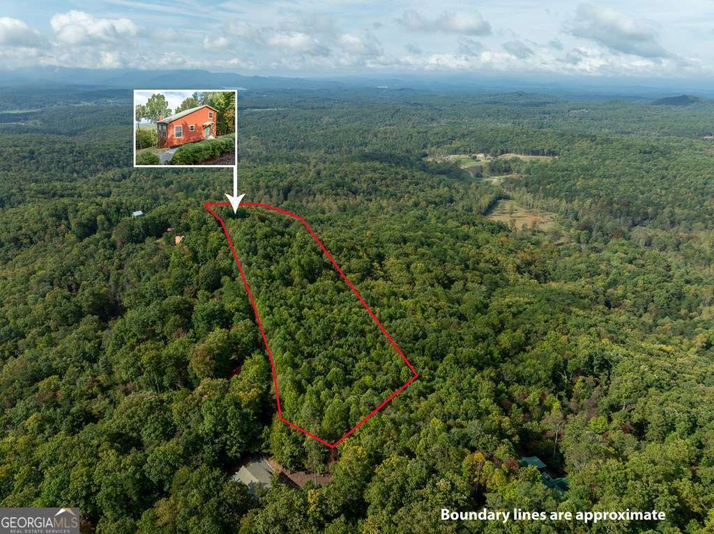 175 Oak Ledge Road Morganton, GA 30560 - Photo 21 of 50 a view of a big yard with potted plants and large tree