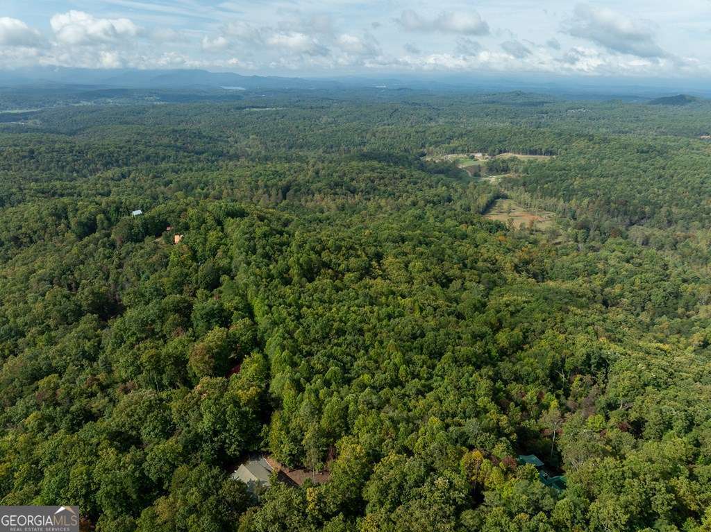 175 Oak Ledge Road Morganton, GA 30560 - Photo 22 of 50 an aerial view of residential houses with outdoor space and trees