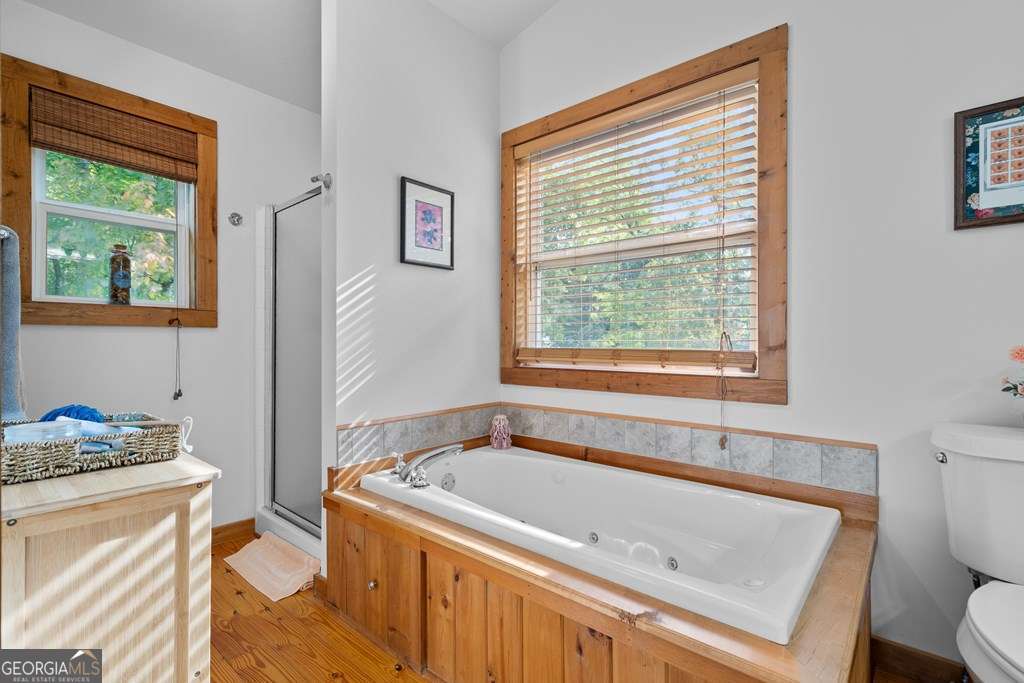 175 Oak Ledge Road Morganton, GA 30560 - Photo 39 of 50 a bathroom with a tub sink and a window
