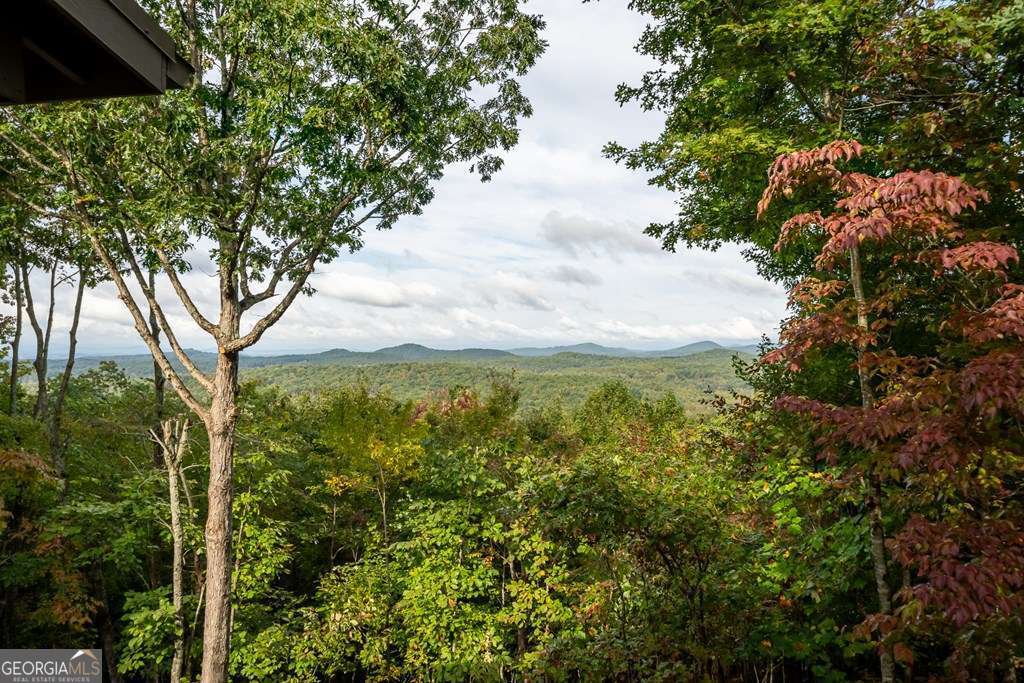 175 Oak Ledge Road Morganton, GA 30560 - Photo 46 of 50 a view of a green yard