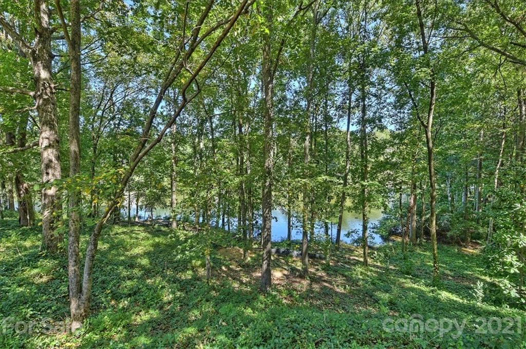 5419 Colony Road Charlotte, NC 28226 - Photo 14 of 17 Gallery Image 14