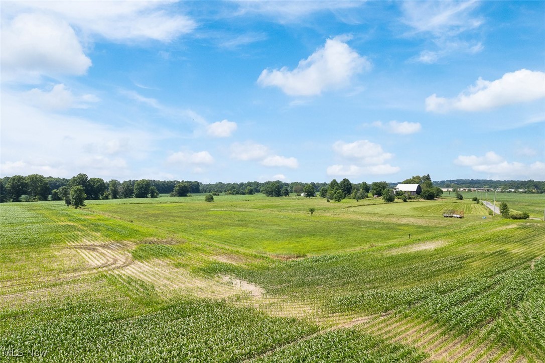 12098 Porr Road Doylestown, OH 44230 - Photo 27 of 34 View of yard with a rural view