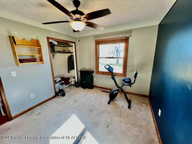 6137 Oneida Road Charlotte, MI 48813 - Photo 35 of 53 IMG_2874