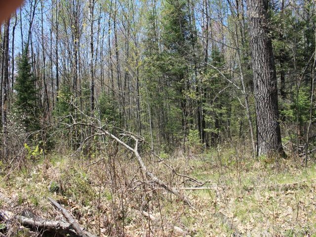 19081 Erickson Drive Dunbar, WI 54119 - Photo 61 of 87
