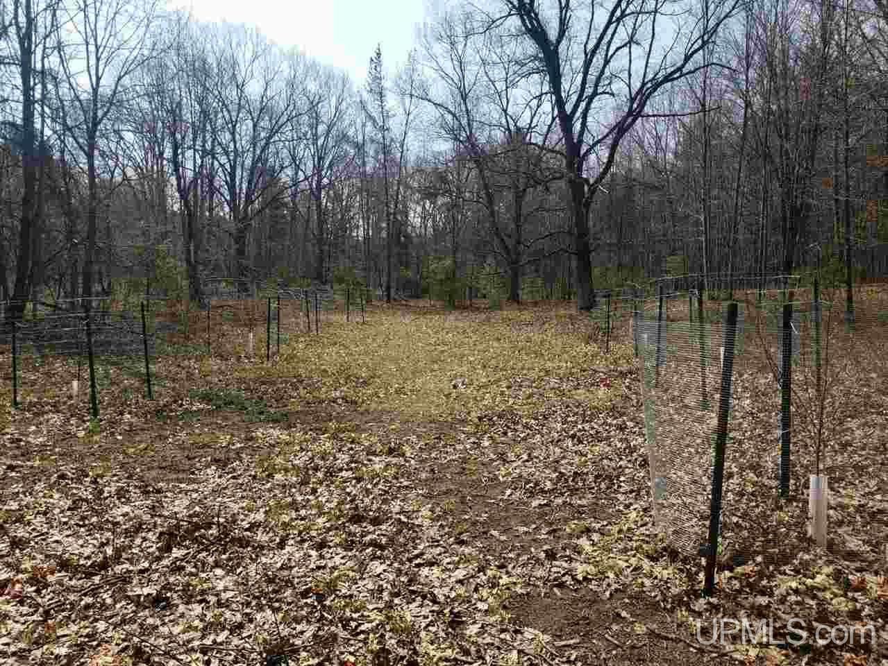 W9498 Co Road Dunbar, WI 54119 - Photo 17 of 59