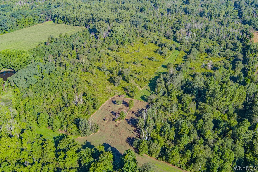 Vl Lake Road Barker, NY 14012 - Photo 6 of 23 Gallery Image 6