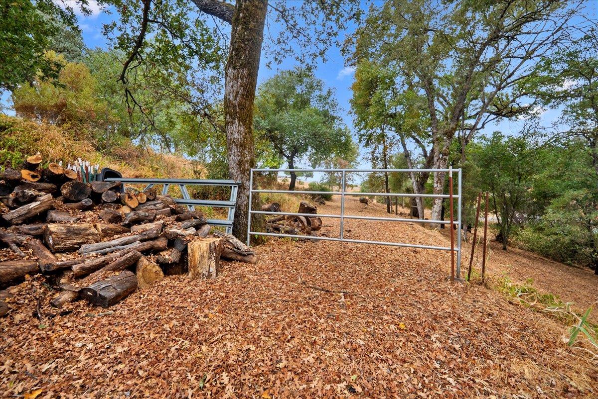 2527 Dynamic Way Rescue, CA 95672 - Photo 31 of 37 a view of a yard with sitting area