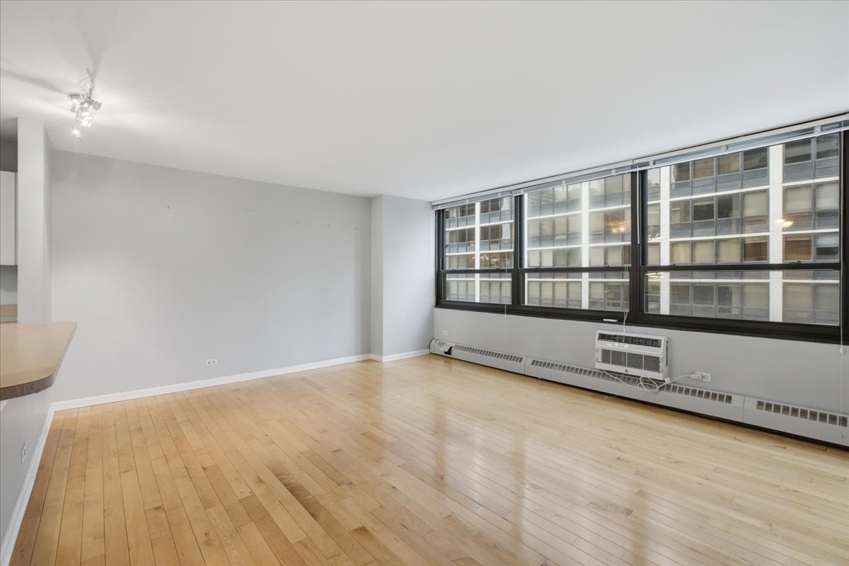 33 East Cedar Street, Unit 5B Chicago, IL 60611 - Photo 5 of 14