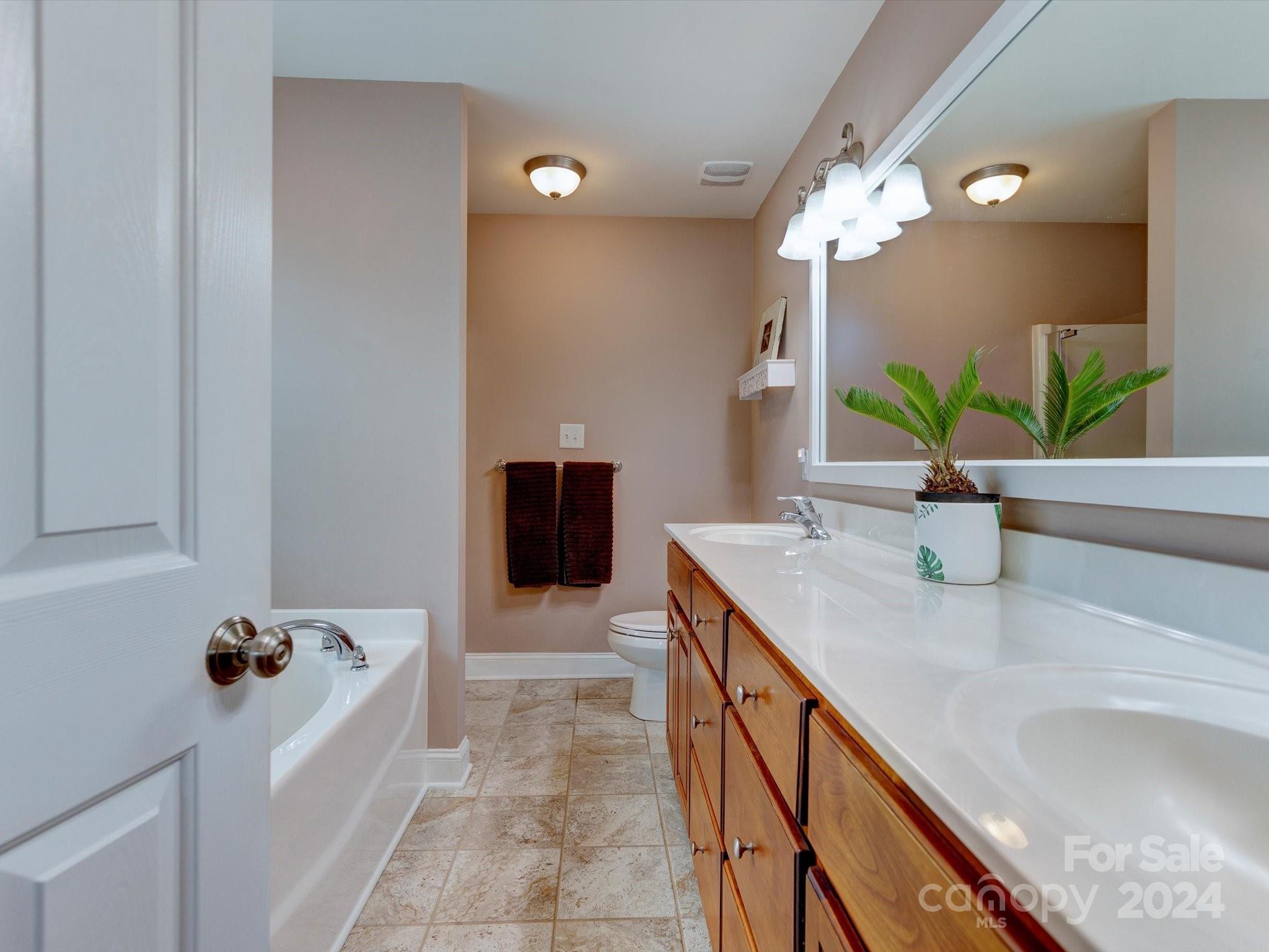 4403 Zee Court Monroe, NC 28110 - Photo 14 of 35 a bathroom with a sink a faucet a potted plant and a mirror