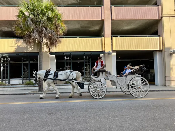 $3,150 | 85 Cumberland Street, Unit 17, Charleston, SC 29401