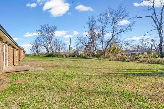 a view of a park with large trees