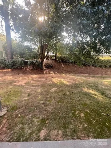 a view of a yard with a tree