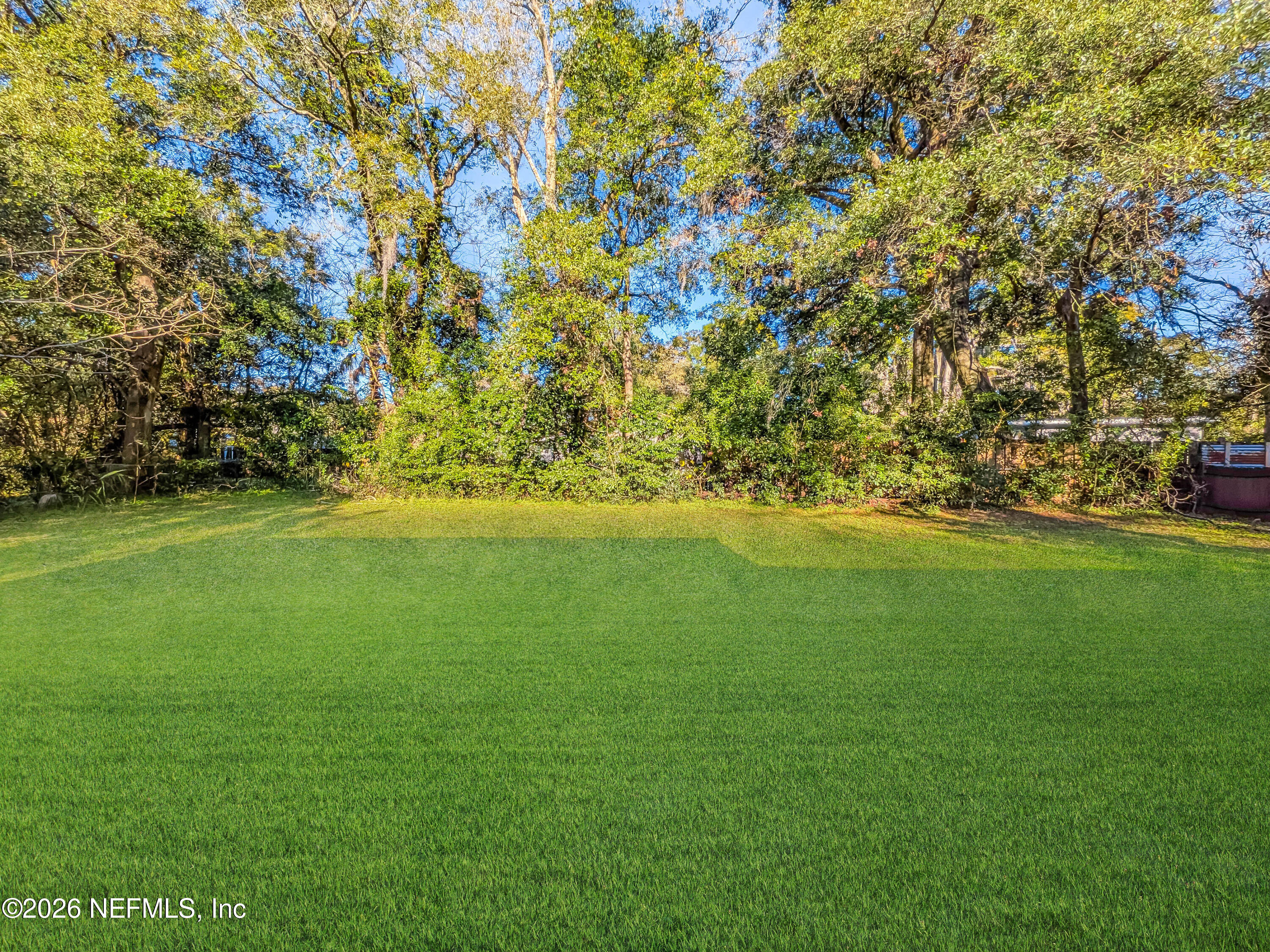 1841 Griflet Road Jacksonville, FL 32211 - Photo 3 of 20 a view of yard with green space and trees