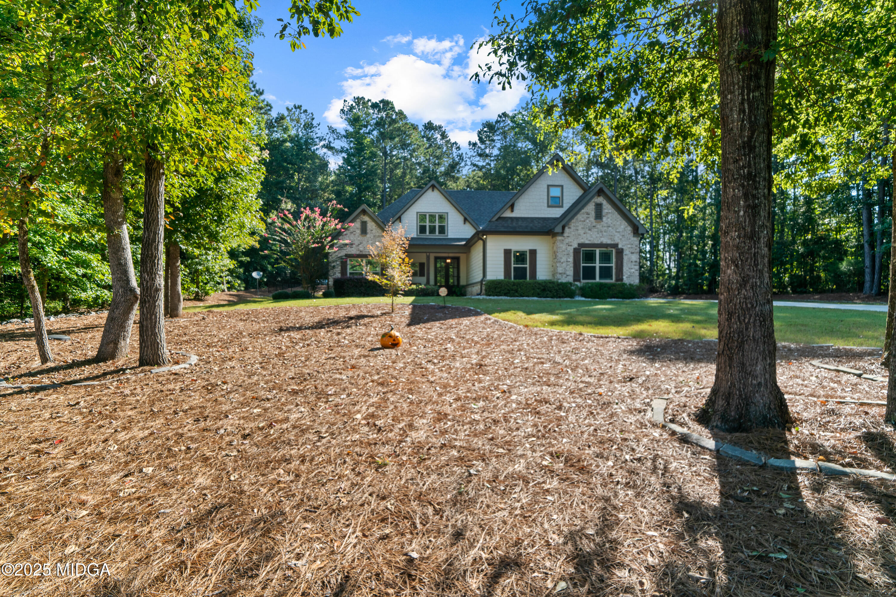 331 Preakness Way Forsyth, GA 31029 - Photo 7 of 85 331 Preakness Way-6278